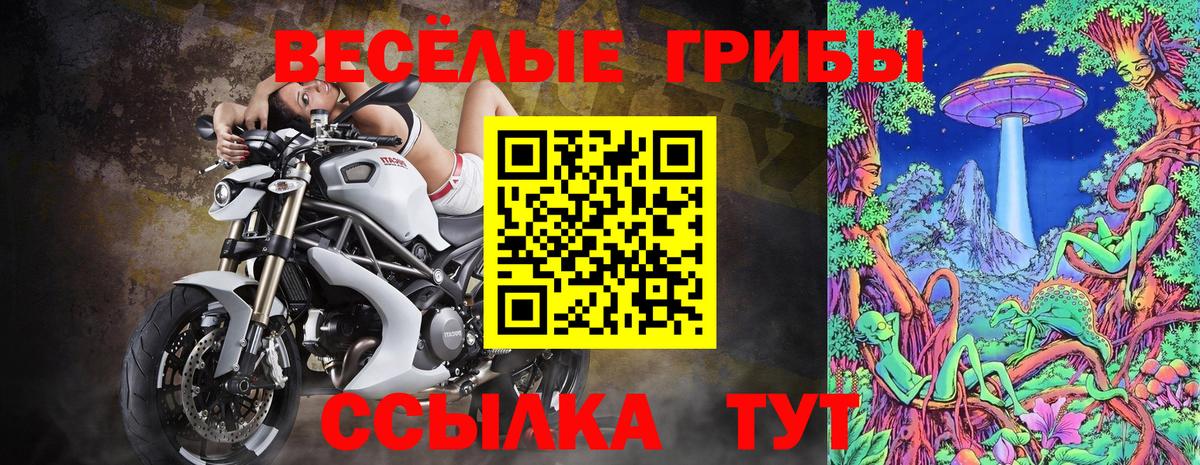 Галлюциногенные грибы Psilocybine cubensis Коммунар