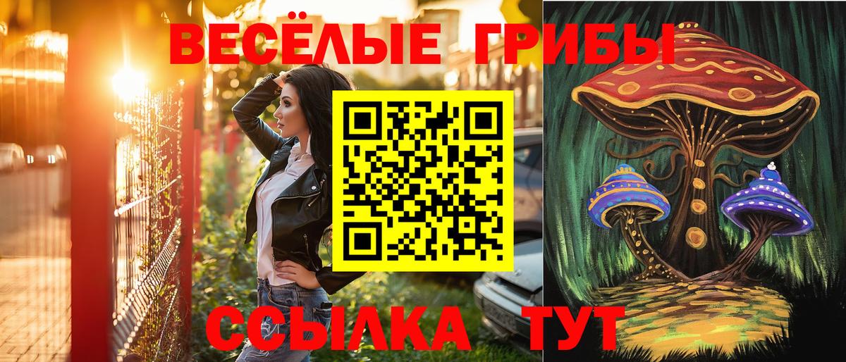 Псилоцибиновые грибы ЛСД  Псилоцибиновые грибы Psilocybine cubensis  Коммунар  Вход с VPN 
